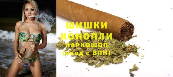 ГАЛЛЮЦИНОГЕННЫЕ ГРИБЫ Коряжма