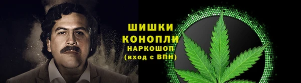 амф Краснослободск